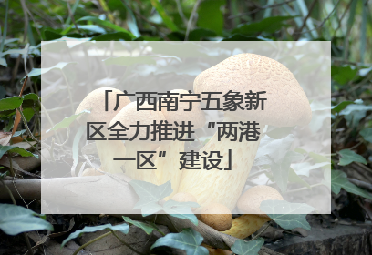 广西南宁五象新区全力推进“两港一区”建设