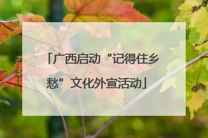 广西启动“记得住乡愁”文化外宣活动
