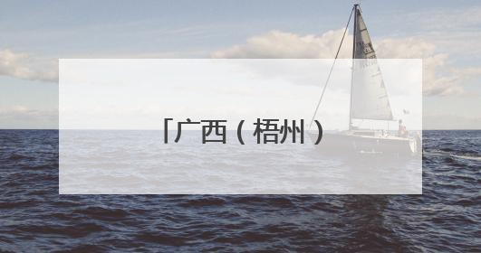 广西（梧州）文化旅游推介活动在悉尼举办