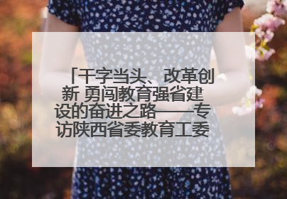 干字当头、改革创新 勇闯教育强省建设的奋进之路——专访陕西省委教育工委书记、省教育厅厅长王树声
