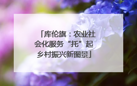 库伦旗：农业社会化服务“托”起乡村振兴新图景