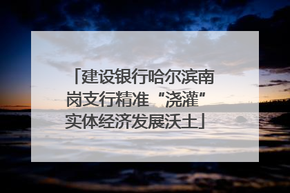 建设银行哈尔滨南岗支行精准“浇灌”实体经济发展沃土