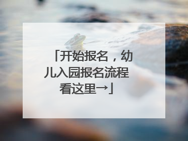 开始报名，幼儿入园报名流程看这里→