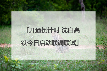 开通倒计时 沈白高铁今日启动联调联试