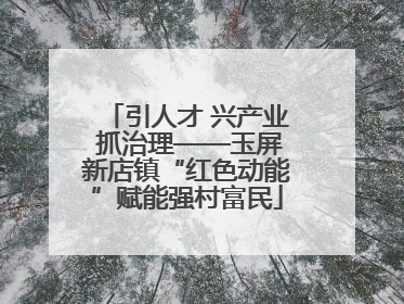 引人才 兴产业 抓治理——玉屏新店镇“红色动能”赋能强村富民