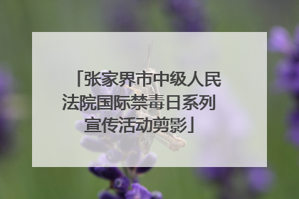 张家界市中级人民法院国际禁毒日系列宣传活动剪影
