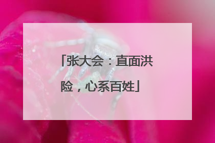 张大会：直面洪险，心系百姓