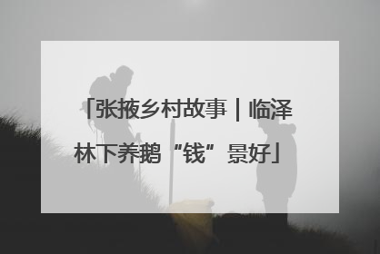 张掖乡村故事｜临泽林下养鹅“钱”景好