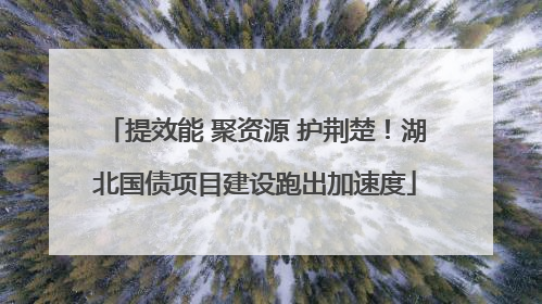 提效能 聚资源 护荆楚！湖北国债项目建设跑出加速度
