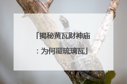 揭秘黄瓦财神庙：为何覆琉璃瓦