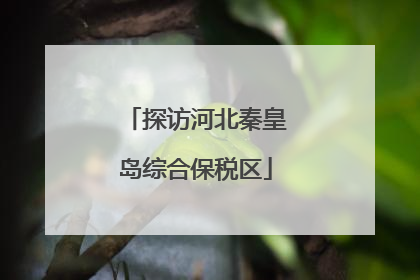 探访河北秦皇岛综合保税区
