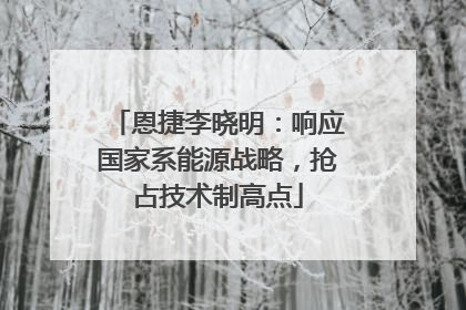 恩捷李晓明：响应国家系能源战略，抢占技术制高点