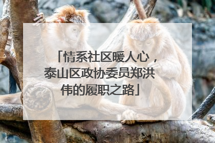 情系社区暖人心，泰山区政协委员郑洪伟的履职之路