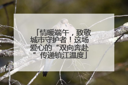 情暖端午，致敬城市守护者！这场爱心的“双向奔赴”传递镇江温度
