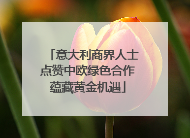 意大利商界人士点赞中欧绿色合作蕴藏黄金机遇