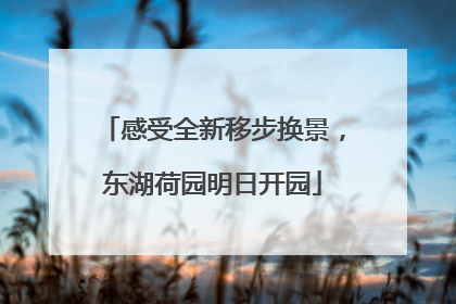 感受全新移步换景，东湖荷园明日开园