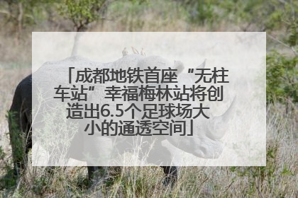 成都地铁首座“无柱车站”幸福梅林站将创造出6.5个足球场大小的通透空间