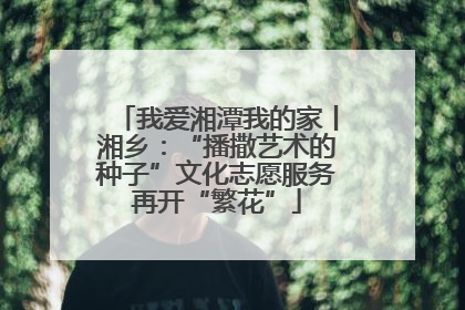 我爱湘潭我的家丨湘乡：“播撒艺术的种子”文化志愿服务再开“繁花”
