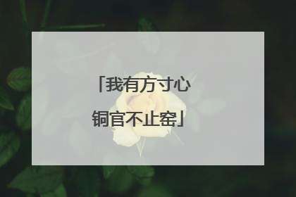 我有方寸心 铜官不止窑