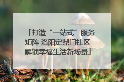 打造“一站式”服务矩阵 洛阳定鼎门社区解锁幸福生活新场景