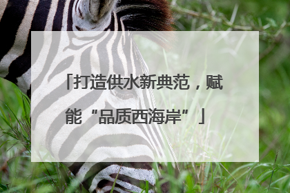 打造供水新典范，赋能“品质西海岸”
