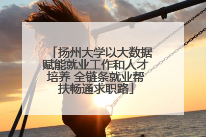 扬州大学以大数据赋能就业工作和人才培养 全链条就业帮扶畅通求职路