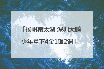 扬帆南太湖 深圳大鹏少年拿下4金1银2铜