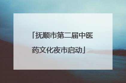 抚顺市第二届中医药文化夜市启动