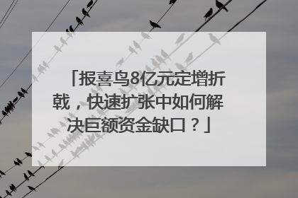 报喜鸟8亿元定增折戟，快速扩张中如何解决巨额资金缺口？