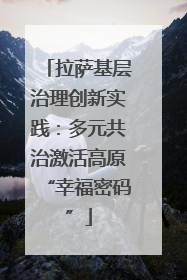 拉萨基层治理创新实践：多元共治激活高原“幸福密码”