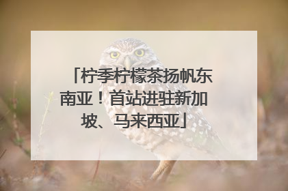 柠季柠檬茶扬帆东南亚！首站进驻新加坡、马来西亚