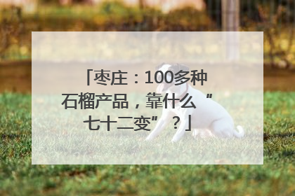 枣庄：100多种石榴产品，靠什么“七十二变”？