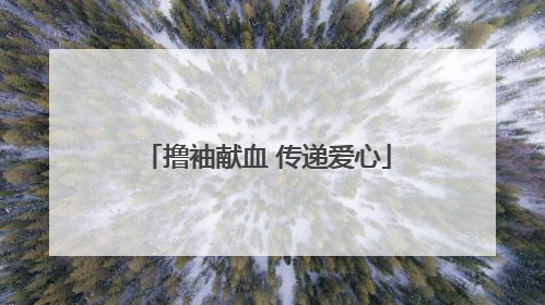 撸袖献血 传递爱心