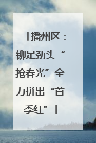 播州区：铆足劲头“抢春光”全力拼出“首季红”