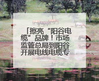 擦亮“阳谷电缆”品牌！市场监管总局到阳谷开展电线电缆专题调研
