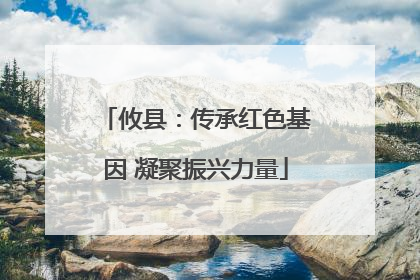 攸县：传承红色基因 凝聚振兴力量