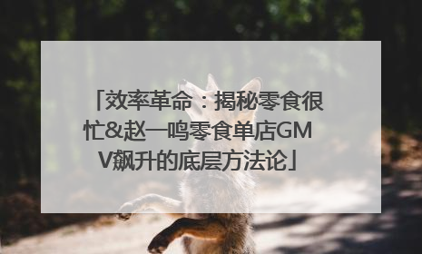效率革命：揭秘零食很忙&赵一鸣零食单店GMV飙升的底层方法论
