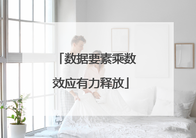 数据要素乘数效应有力释放