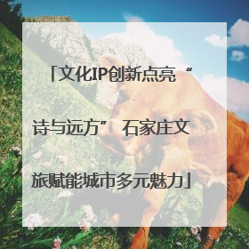 文化IP创新点亮“诗与远方” 石家庄文旅赋能城市多元魅力