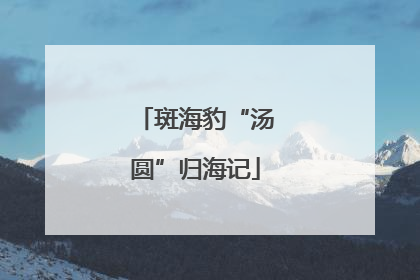 斑海豹“汤圆”归海记