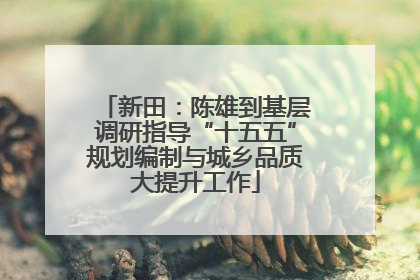 新田：陈雄到基层调研指导“十五五”规划编制与城乡品质大提升工作