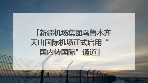新疆机场集团乌鲁木齐天山国际机场正式启用“国内转国际”通道