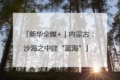 新华全媒+｜内蒙古：沙海之中建“蓝海”