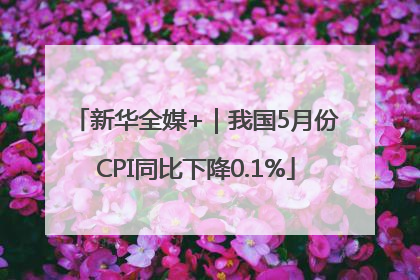 新华全媒+｜我国5月份CPI同比下降0.1%