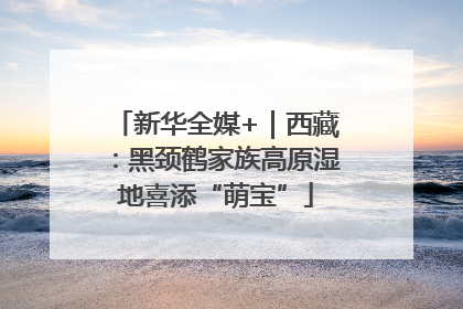 新华全媒+｜西藏：黑颈鹤家族高原湿地喜添“萌宝”