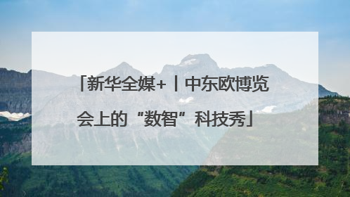 新华全媒+丨中东欧博览会上的“数智”科技秀