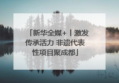 新华全媒+丨激发传承活力 非遗代表性项目聚成都