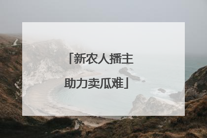 新农人播主 助力卖瓜难