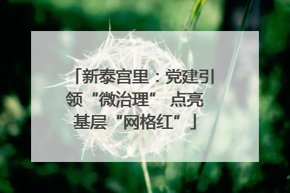 新泰宫里：党建引领“微治理” 点亮基层“网格红”