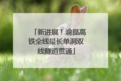 新进展！渝昆高铁全线最长单洞双线隧道贯通